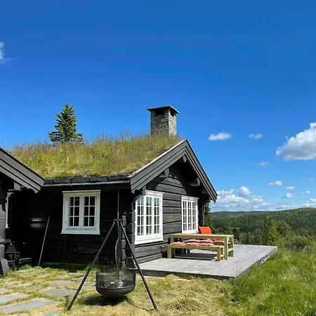 Dom wakacyjny Log With Views Of Svansettjonni *