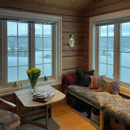 Log With Views Of Svansettjonni Dom wakacyjny