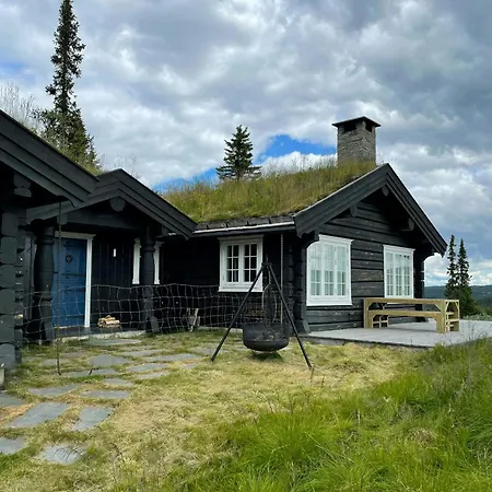 Log With Views Of Svansettjonni *