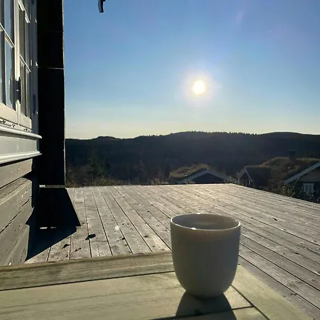 Log With Views Of Svansettjonni * Al
