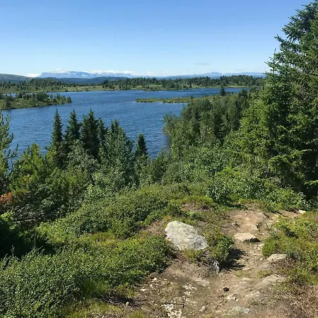 Dom wakacyjny Log With Views Of Svansettjonni