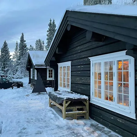Log With Views Of Svansettjonni Dom wakacyjny *