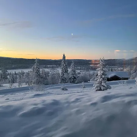 Dom wakacyjny Log With Views Of Svansettjonni *