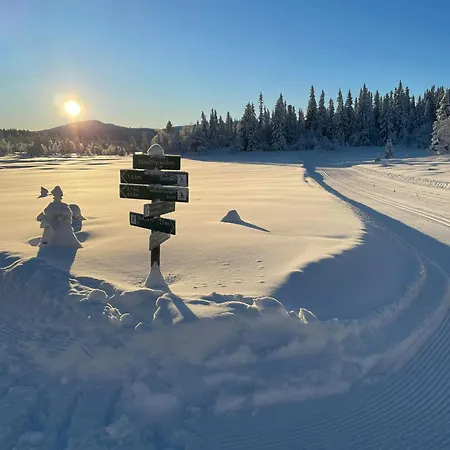 Log With Views Of Svansettjonni Dom wakacyjny *